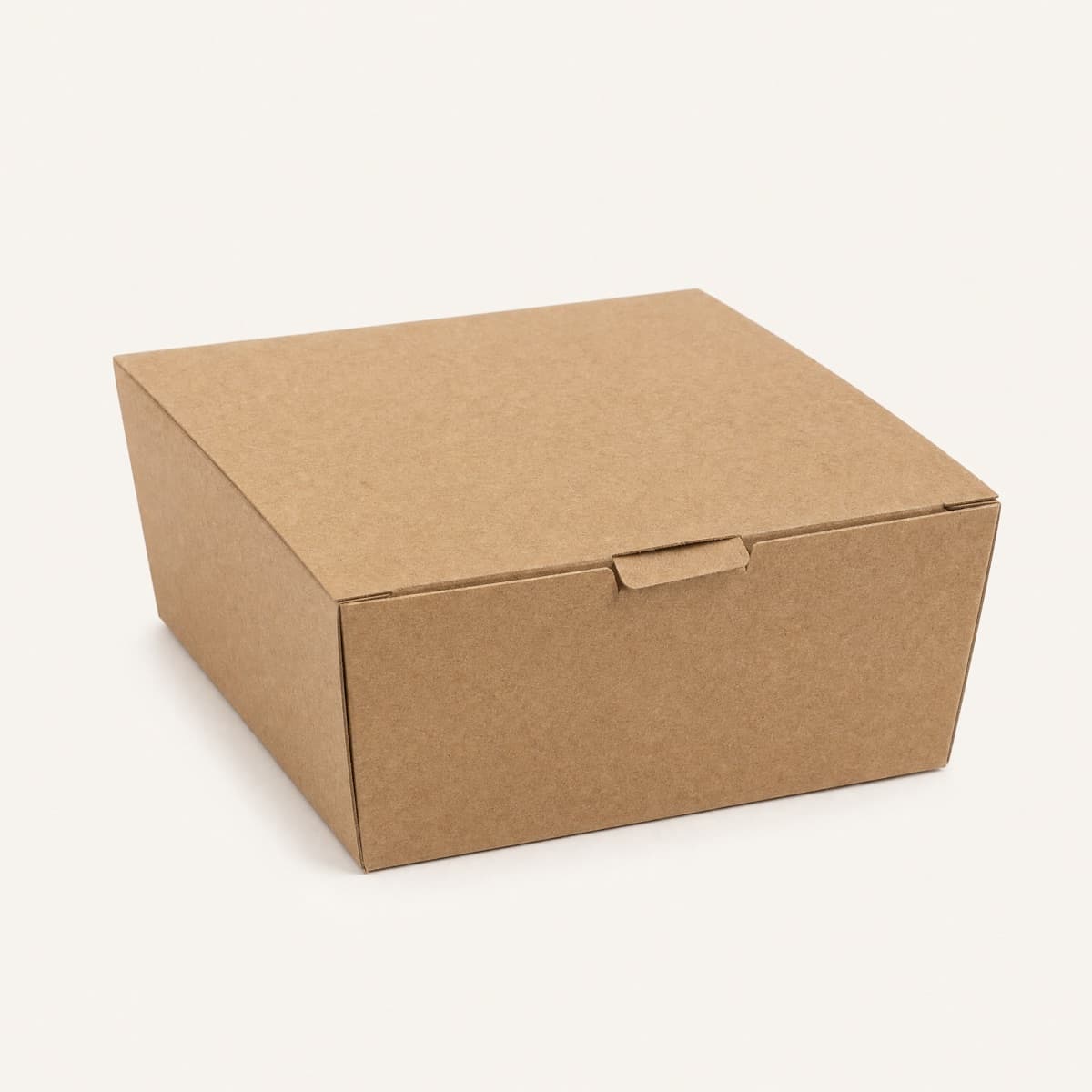 Square Lunch Box