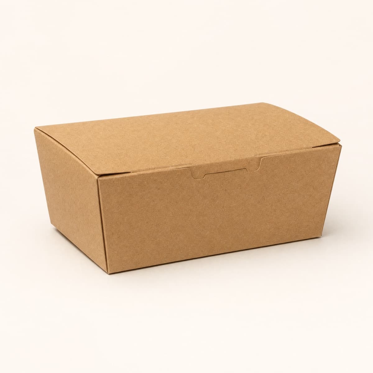 Eco Hook-Lock Lunch Box