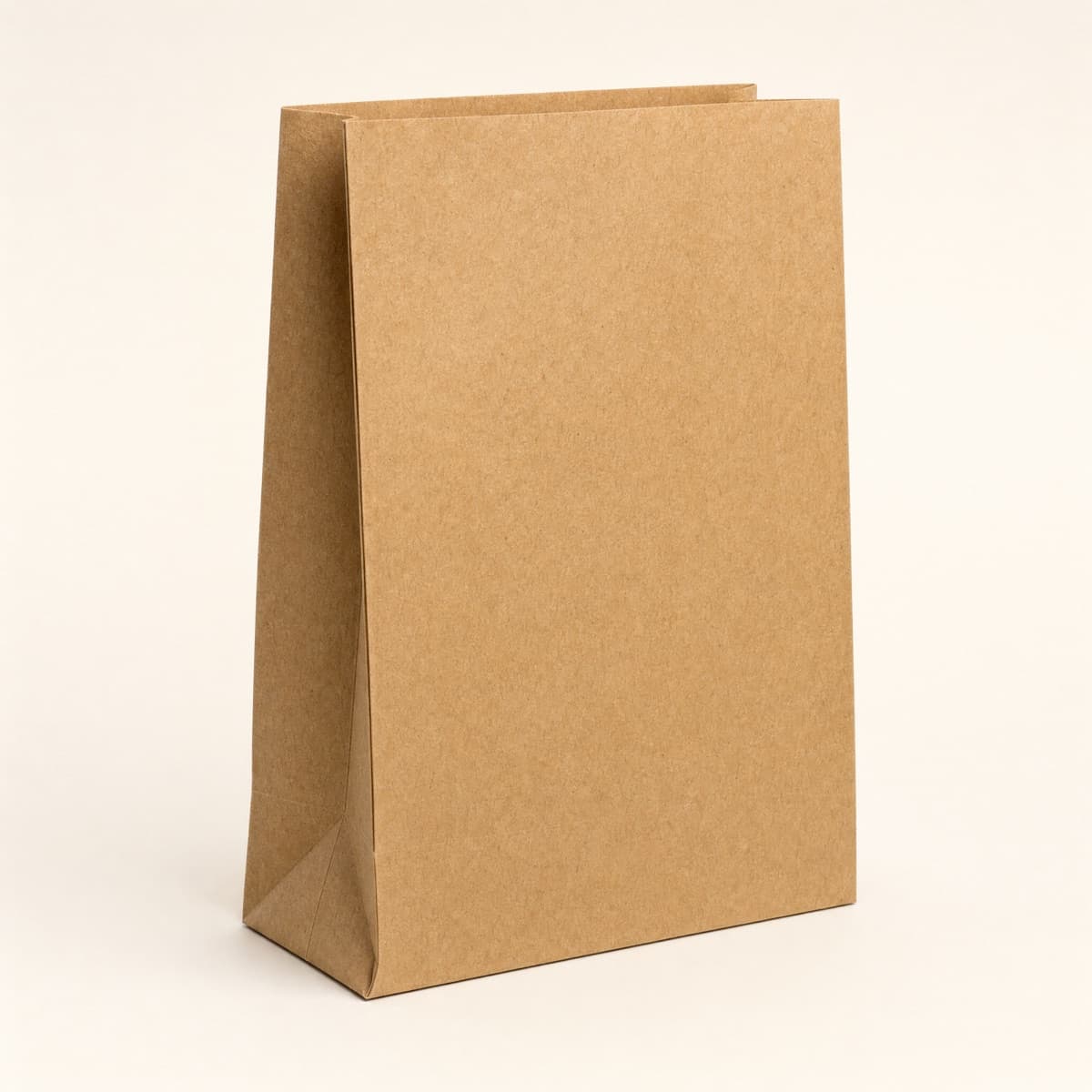 Paper Bag