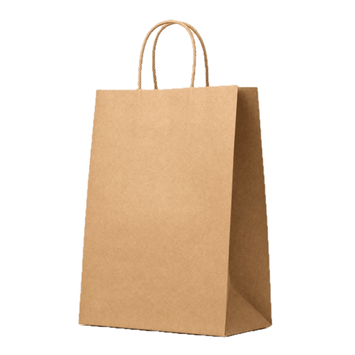 Kraft paper bag with twisted rope handles